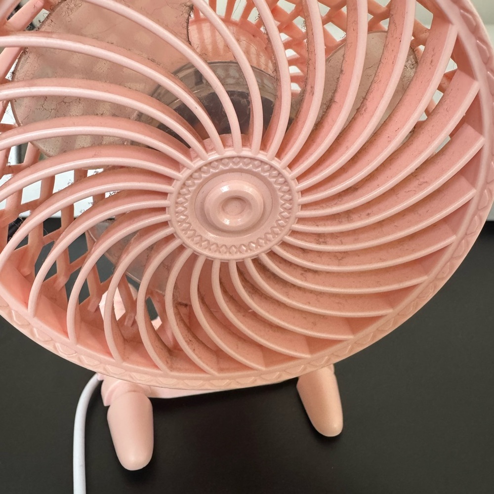 Elegant Pink Decorative Fan